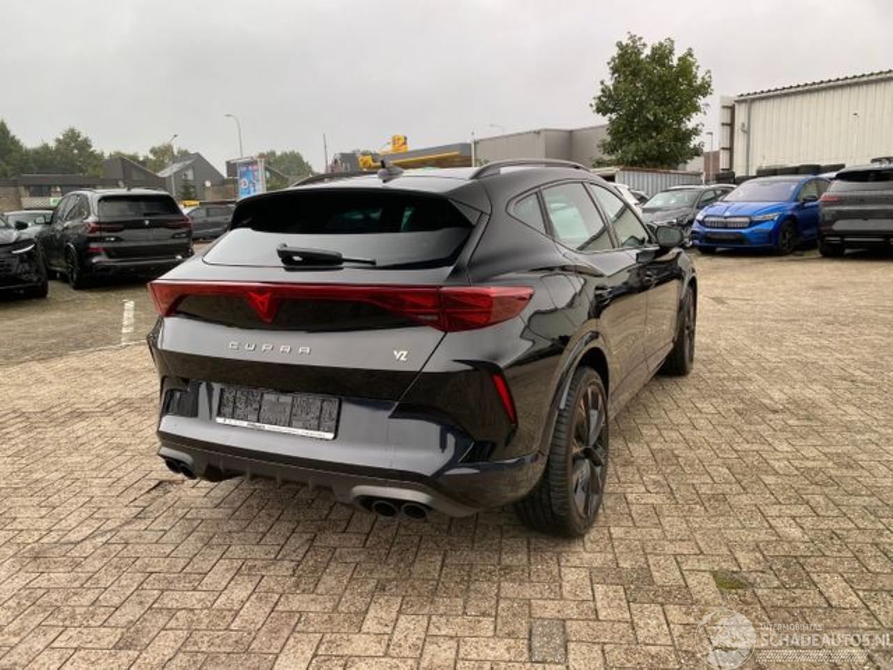 Cupra Formentor VZ 2.0 TSI 245 kW 4Drive * KAM - NAV *