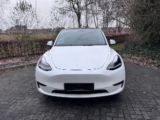 Tesla Model Y Tesla Model Y Long Range RWD PANORAMA Autopilot VOL picture 14