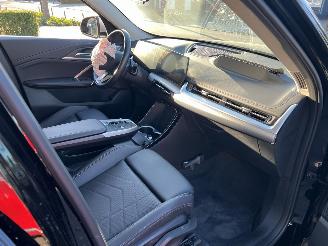 BMW iX1 XdriveE30 Launch Edition 67 kWh picture 33