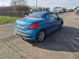 Dezmembrări autoturisme Peugeot 206 CC 2.0 16v 2004/8