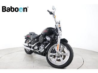 Harley-Davidson  FXST Softail Standard ABS picture 2