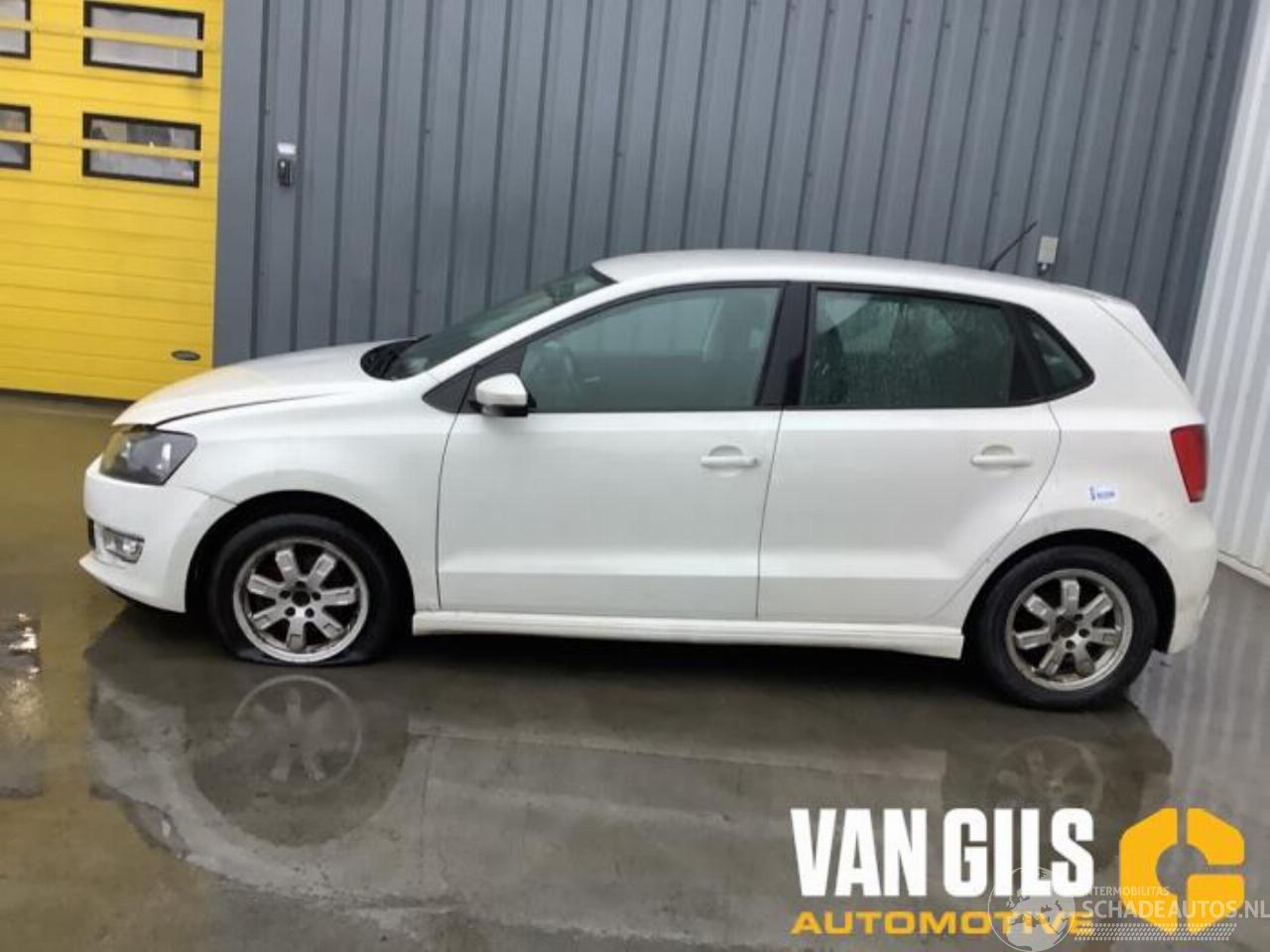 Volkswagen Polo Polo V (6R), Hatchback, 2009 / 2017 1.2 TDI 12V BlueMotion