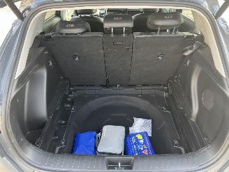 Hyundai Kona 1.6 GDI HEV Premium picture 10