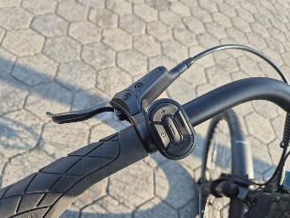 Stella  Tenway Ago T picture 6