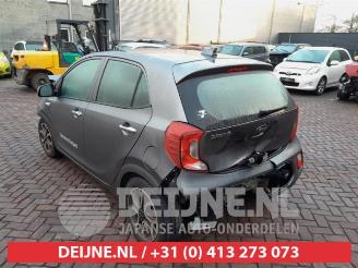 Kia Picanto Picanto (JA), Hatchback, 2017 1.0 12V picture 5