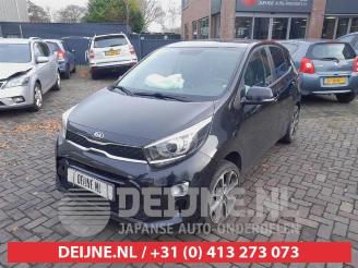 Kia Picanto Picanto (JA), Hatchback, 2017 1.0 12V picture 3