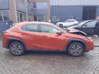 Lexus UX  picture 8