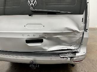 Volkswagen Caddy Cargo Maxi 2.0TDI DSG Navi Clima picture 18
