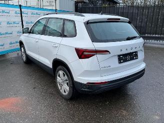 Skoda Karoq  picture 2