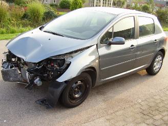 Unfall Kfz peugeot 307 16hdif 5 drs