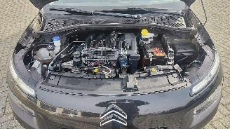 Citroën C4 cactus Citroën C4 Cactus Feel navi camera picture 13