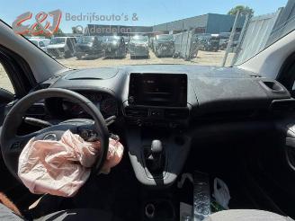 Opel Combo Combo Cargo, Van, 2018 1.6 CDTI 100 picture 15