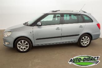 Skoda Fabia 1.2 TSI Clima Ambition picture 37