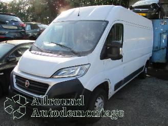  Fiat Ducato Ducato (250) Van 2.3 D 130 Multijet (F1AGL411D(Euro 6)) [96kW]  (08-20=
06/...) 2017