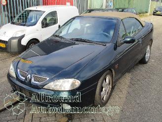  Renault Mégane Megane (EA) Cabrio 1.6 16V Sport (K4M-701) [79kW]  (03-1999/07-2003) 2003