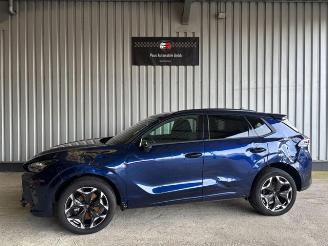 Avarii autoturisme Cupra Terramar 1.5 eTSI Hybrid / Head-Up 2025/8