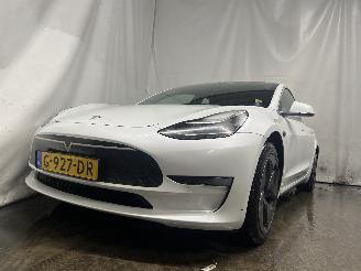 škoda osobní automobily Tesla Model 3 Model 3 Sedan Long Range, Performance AWD (3D1) [340kW]  (06-2018/...)= 2019/9