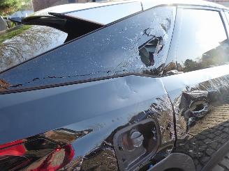 Peugeot 3008 GT picture 11