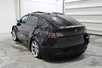 Tesla Model Y  picture 5