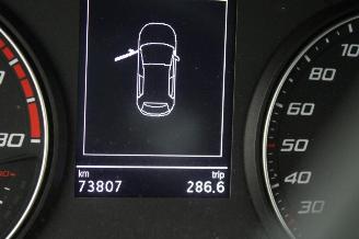 Seat Ibiza  picture 12