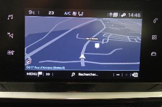 Peugeot 2008  picture 13