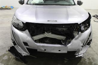 Peugeot 2008  picture 6