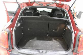 Mini Cooper  picture 12