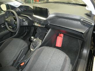 Peugeot 208 II ACTIVE BUSINE picture 13