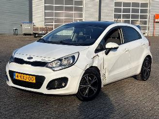 Coche accidentado Kia Rio 1.2 CVVT 16V Hatchback  Benzine 1.248cc 63kW (86pk) FWD 2011-09/2017-12 (UBA5P3; UBA5P4; UBA5P7; UBA5P8; UBF5P3; UBF5P4; UBF5P7; UBF5P8) G4LA5 2014/1