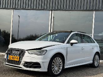 Auto incidentate Audi A3 SPORTBACK 1.4 E-TRON S-TRONIC 2015/5