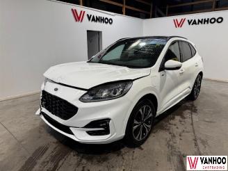 Voiture accidenté Ford Kuga  2023/7