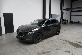 Damaged car Mazda CX-30 SUV 2023/9