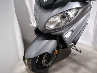Suzuki  BURGMAN picture 15