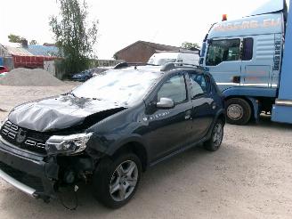 skadebil auto Dacia Sandero 09 Stepway - Rainbow 2019/2