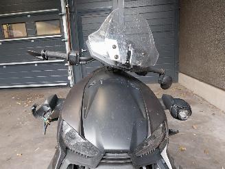 Can-Am  RYKER picture 4