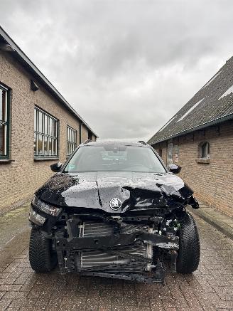 Skoda Kamiq 1.0 TSI Ambition picture 2