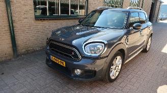 Schadeauto Mini Countryman Mini Countryman 2.0 Cooper SD ALL4 Chili 2017/7