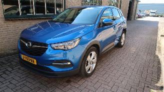 skadebil auto Opel Grandland Opel Grandland X 1.2 Turbo 120 Jaar Edition 2019/6