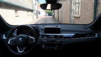 BMW X1 BMW X1 sDrive18i High Executive picture 10