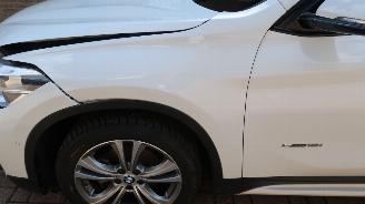 BMW X1 BMW X1 sDrive18i High Executive picture 35