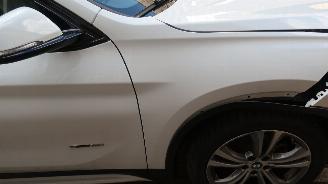 BMW X1 BMW X1 sDrive18i High Executive picture 33