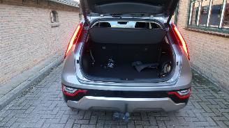 Kia Niro Kia NIRO 1.6 GDi PHEV DynamicLine picture 21