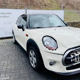 skadebil bedrijf Mini Cooper D 2017/1