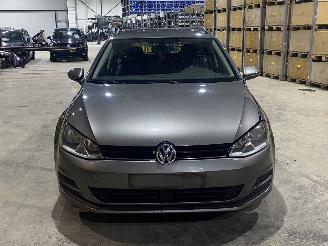 Volkswagen Golf Golf Variant AUTOMAAT picture 5