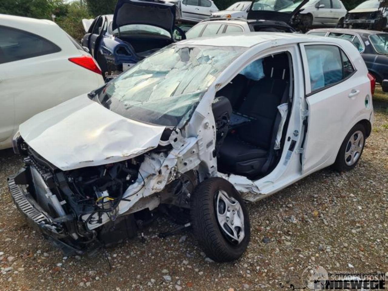 Kia Picanto Picanto (JA), Hatchback, 2017 1.0 12V