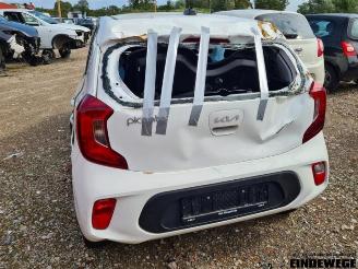 Kia Picanto Picanto (JA), Hatchback, 2017 1.0 12V picture 2