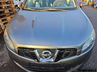 Nissan Qashqai Qashqai (J10), SUV, 2007 / 2014 1.6 16V picture 8
