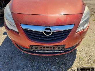 Opel Meriva Meriva (B), MPV, 2010 / 2017 1.3 CDTI 16V picture 8