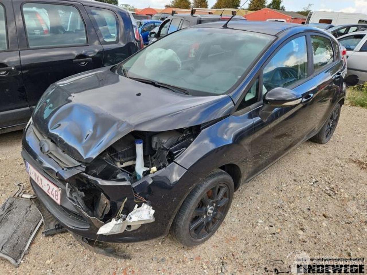 Ford Fiesta Fiesta 6 (JA8), Hatchback, 2008 / 2018 1.25 16V