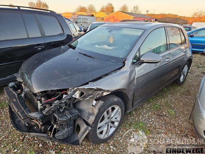 Volkswagen Golf Golf VII (AUA), Hatchback, 2012 / 2021 1.2 TSI 16V